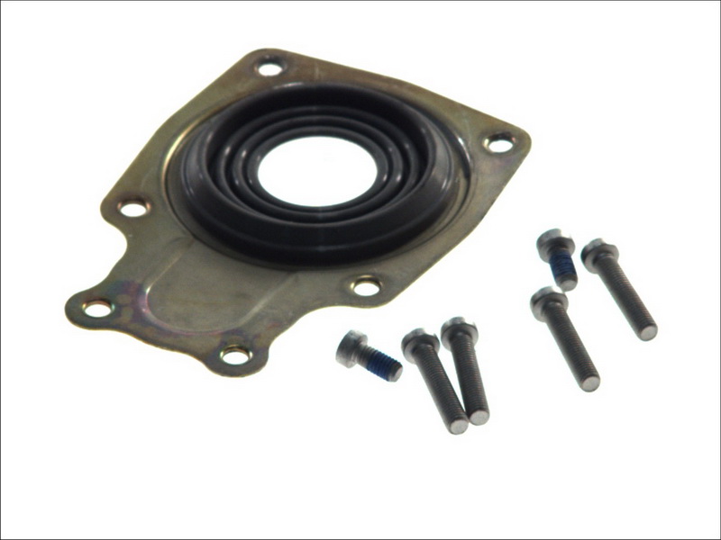 Ремкомплект суппорта Meritor D3 Mercedes O350, Setra пластина +пыльник 56019