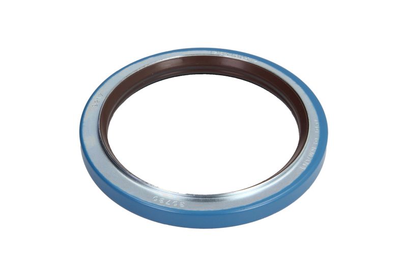 Rear Wheel Hub Seal Ring DAF 125x160x17 050.229