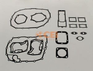Gearbox gaskets ZF 8S-180 198945