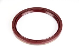 Crankshaft Seal Ring Fiat, Iveco 100x118x10 419.700