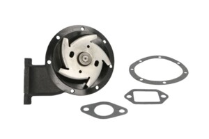 Помпа водяная Renault Magnum 96-00 AE420 078.125
