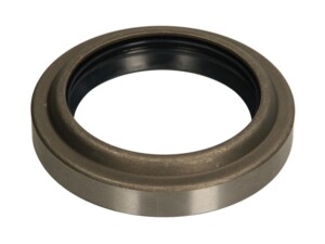 Rear Wheel Hub Seal Ring MAN 4.20296