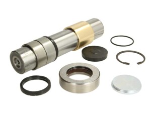 Ремкомплект шкворня Renault Premium/ Midlum DXI 5/7 d50 230093