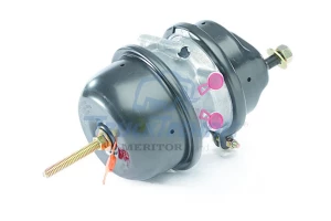 Пневматичний гальмівний циліндр SPRING BRAKE CHAMBER T.16/24 L/H (D-DUCO DISC BRAKE) TT30.56.000