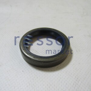 Seal Ring, Input Shaft Mercedes 609D 01034076B