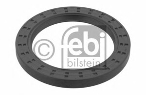 Front Wheel Hub Seal Ring DAF 100x135x13 29877