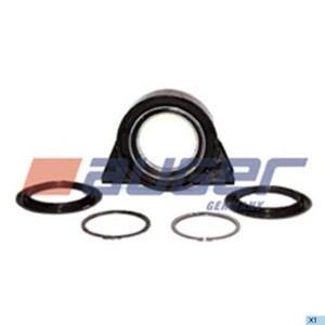 Подвесной подшипник MAN L2000 d100 53267